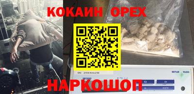 крисы Рязань