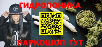 крисы Рязань