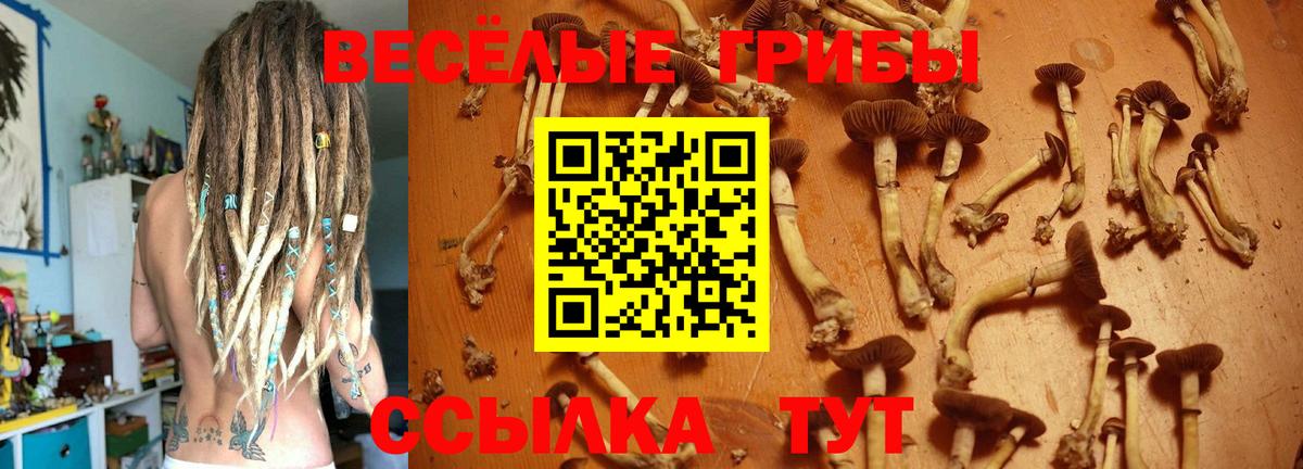 Псилоцибиновые грибы мухоморы  Вход с VPN  Галлюциногенные грибы ЛСД  цена   Сегежа 